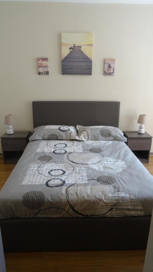 Appart T2 Standing Tout Confort Avec Balcon - Parking En Option Λυών Εξωτερικό φωτογραφία